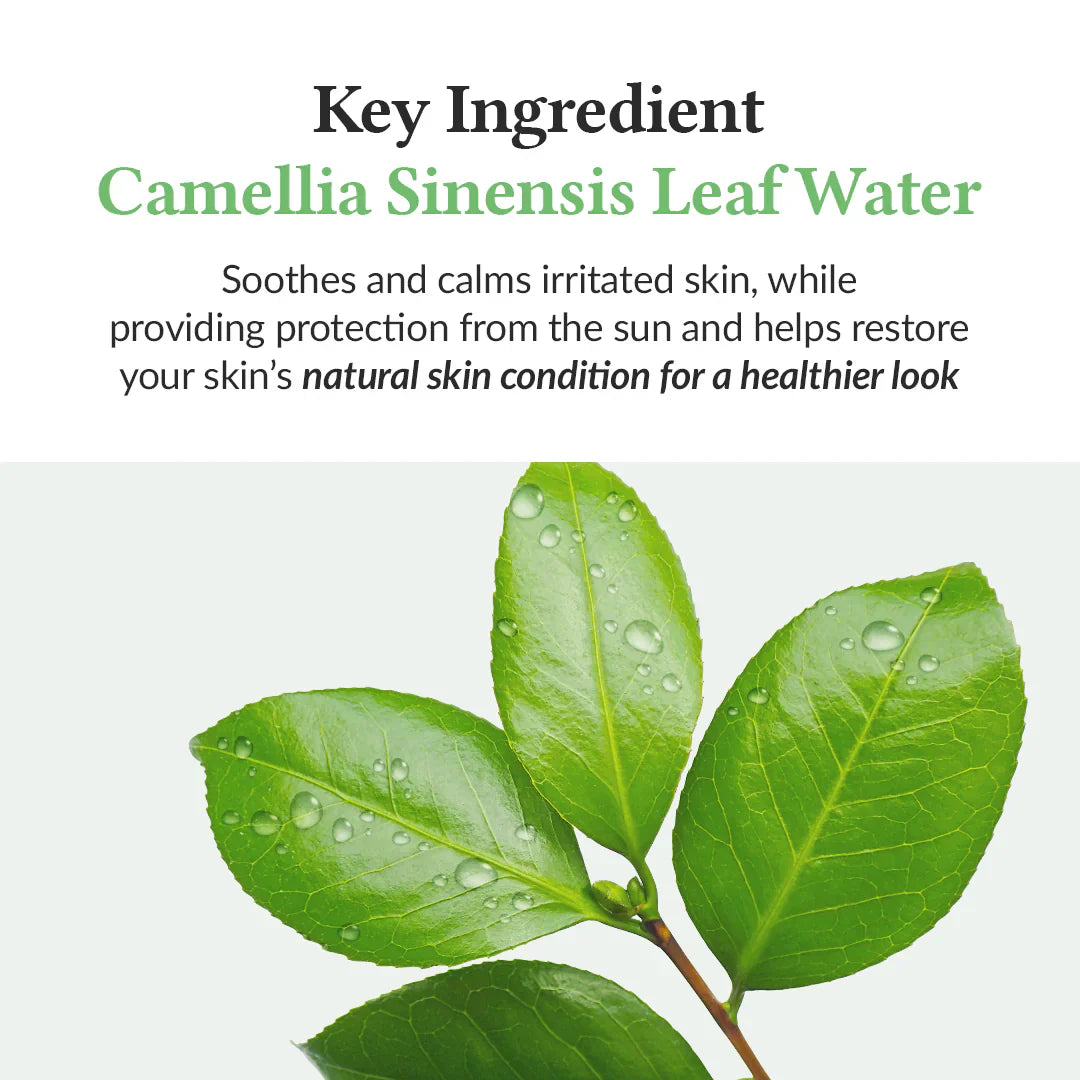 DR ALTHEA - Green Tea Fresh Sunscreen SPF50+ PA++++. 45ml