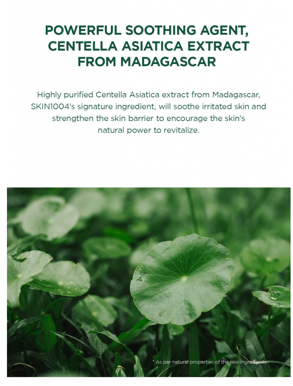 SKIN1004 - MADAGASCAR CENTELLA TEA-TRICA RELIEF AMPOULE, 100ml
