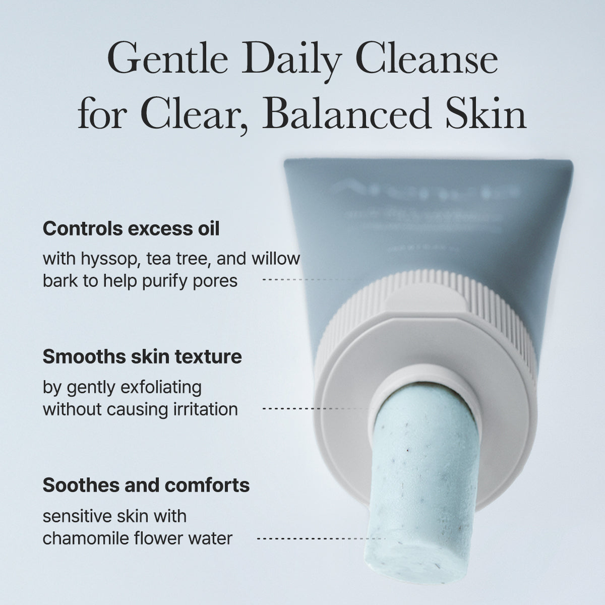 ARENCIA - Hyssop Sebum Control Rice Cake Cleanser 150g