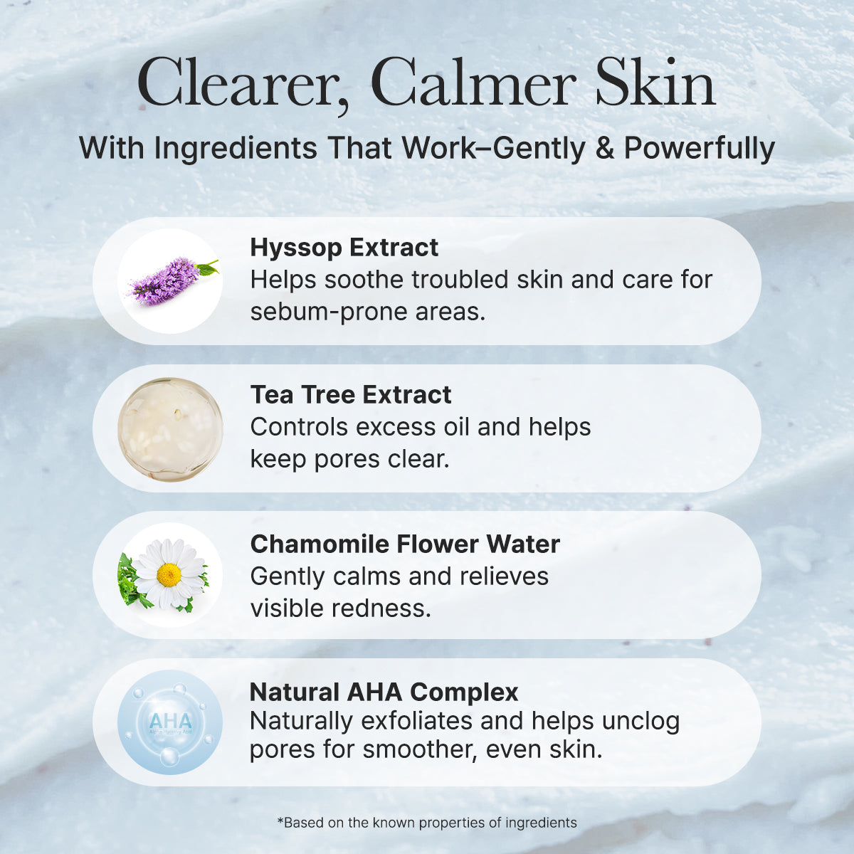 ARENCIA - Hyssop Sebum Control Rice Cake Cleanser 150g