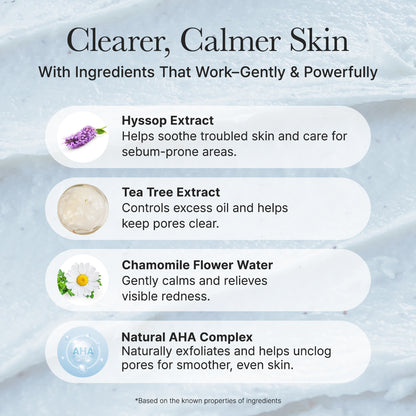 ARENCIA - Hyssop Sebum Control Rice Cake Cleanser 150g
