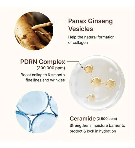 CENTELLIAN24 - PDRN Firming Boosting Ampoule | Sérum Coreano con PDRN y Retinol | 30ml