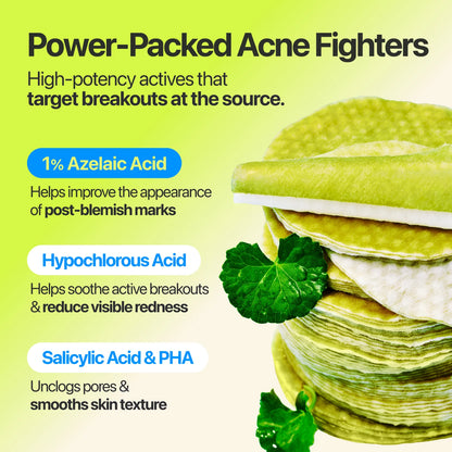 NUMBUZIN - Zero Blemish Azela Cica Balancing Dual Pads 210ml (60Pads)